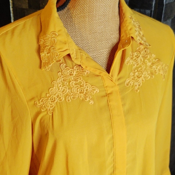 Beautiful Sheer Sequin Hearts Dillard's Blouse - Picture 2 of 6